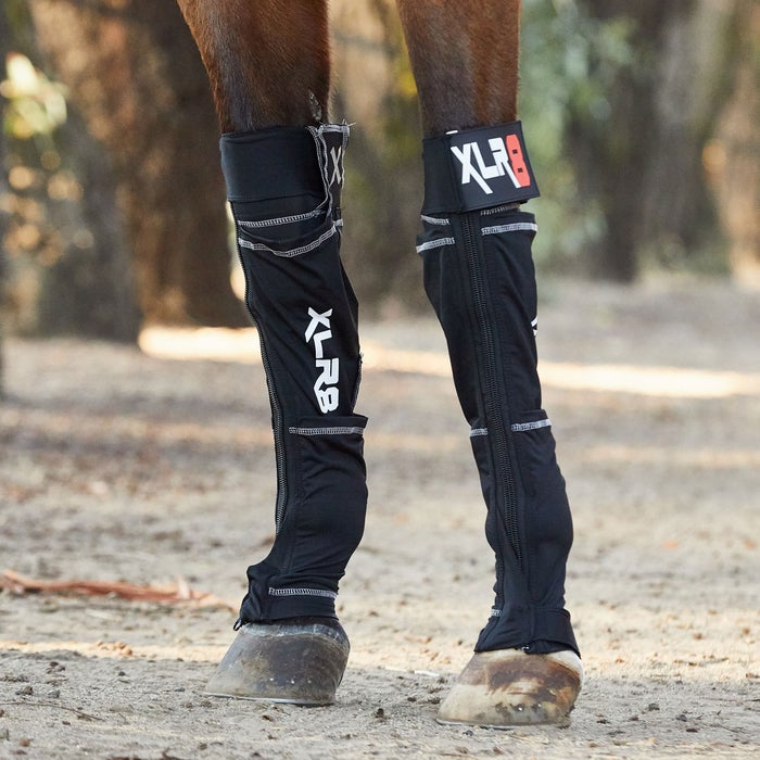 XLR8 Cryotherapy Front Boots Riding Warehouse