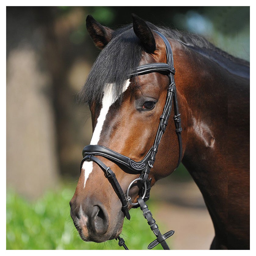 Kavalkade Ivy Padded Bridle Flash Noseband w/Reins Riding Warehouse