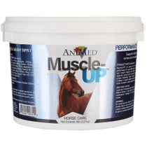 Animed Muscle-UP Powder Horse Supplement
