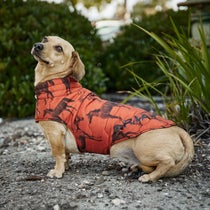 Ariat Pup Puffer Dog Jacket
