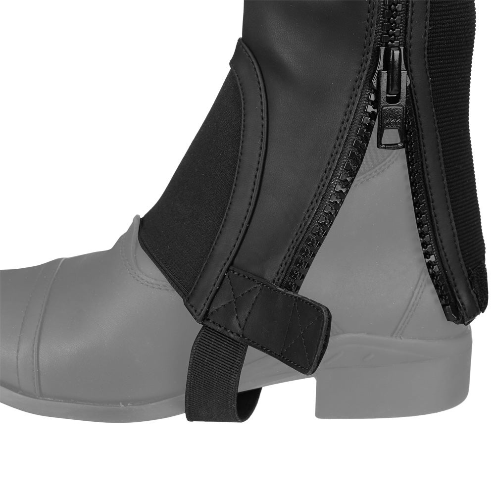 ariat scout chap