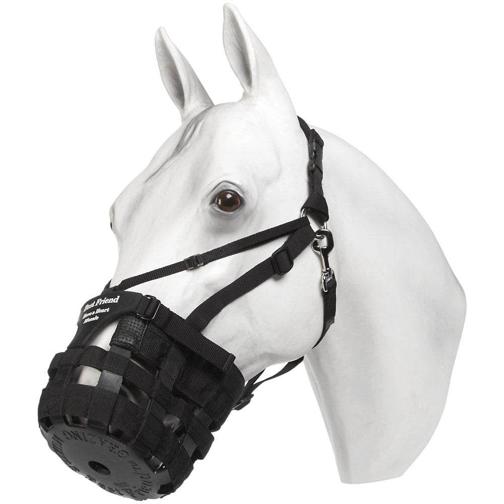 Best Friend Have A Heart Grazing Horse Muzzle Halter Riding Warehouse