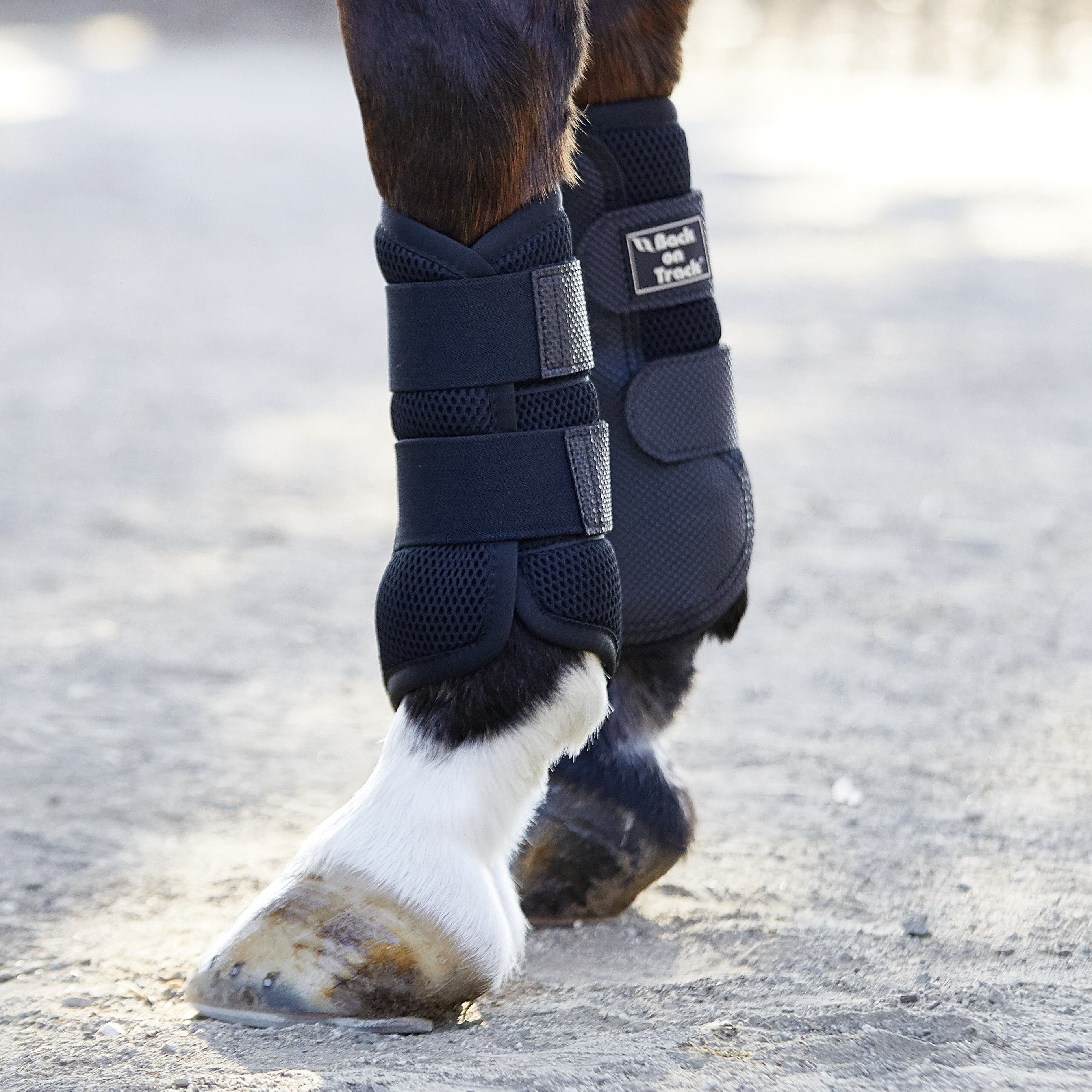 leather splint boots for horses
