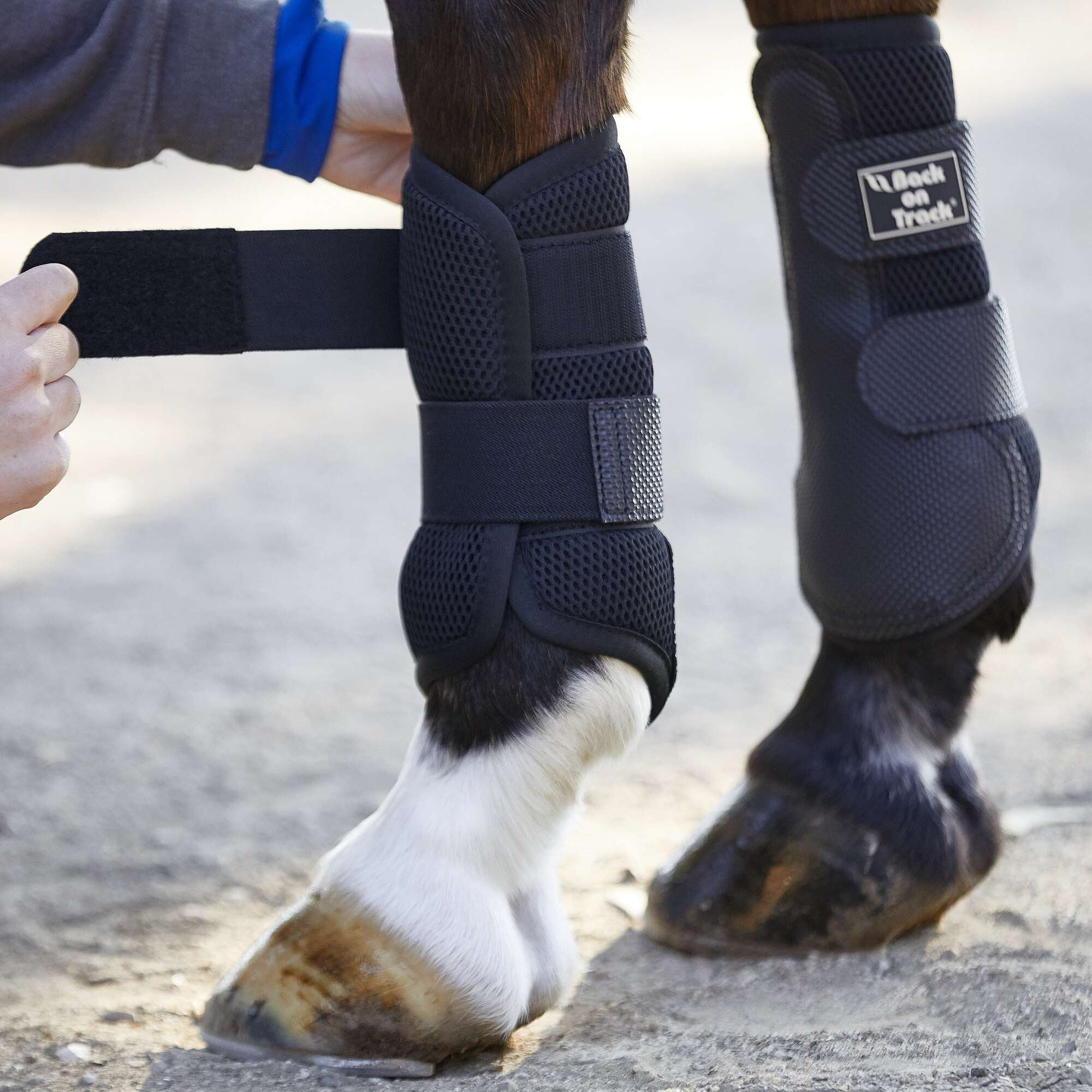 Back On Track Splint Boots - Riding Warehouse