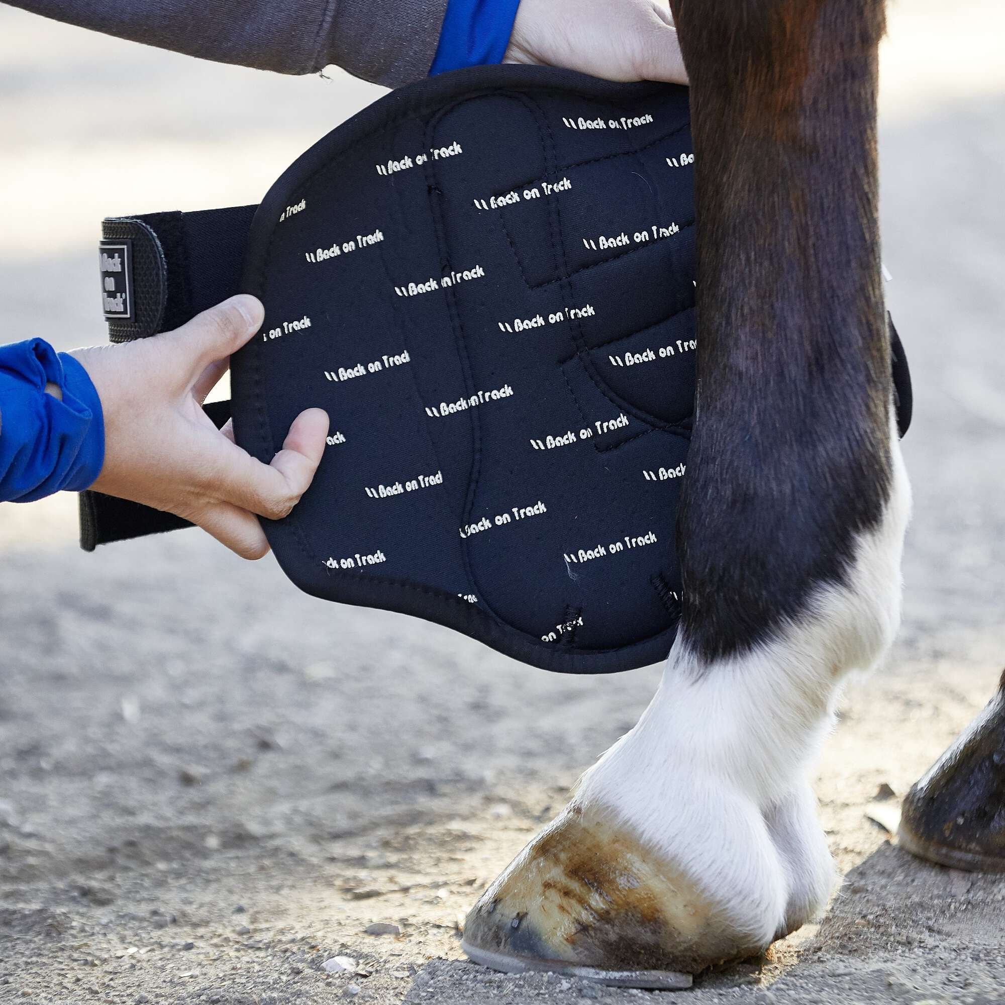 Back On Track Splint Boots Riding Warehouse