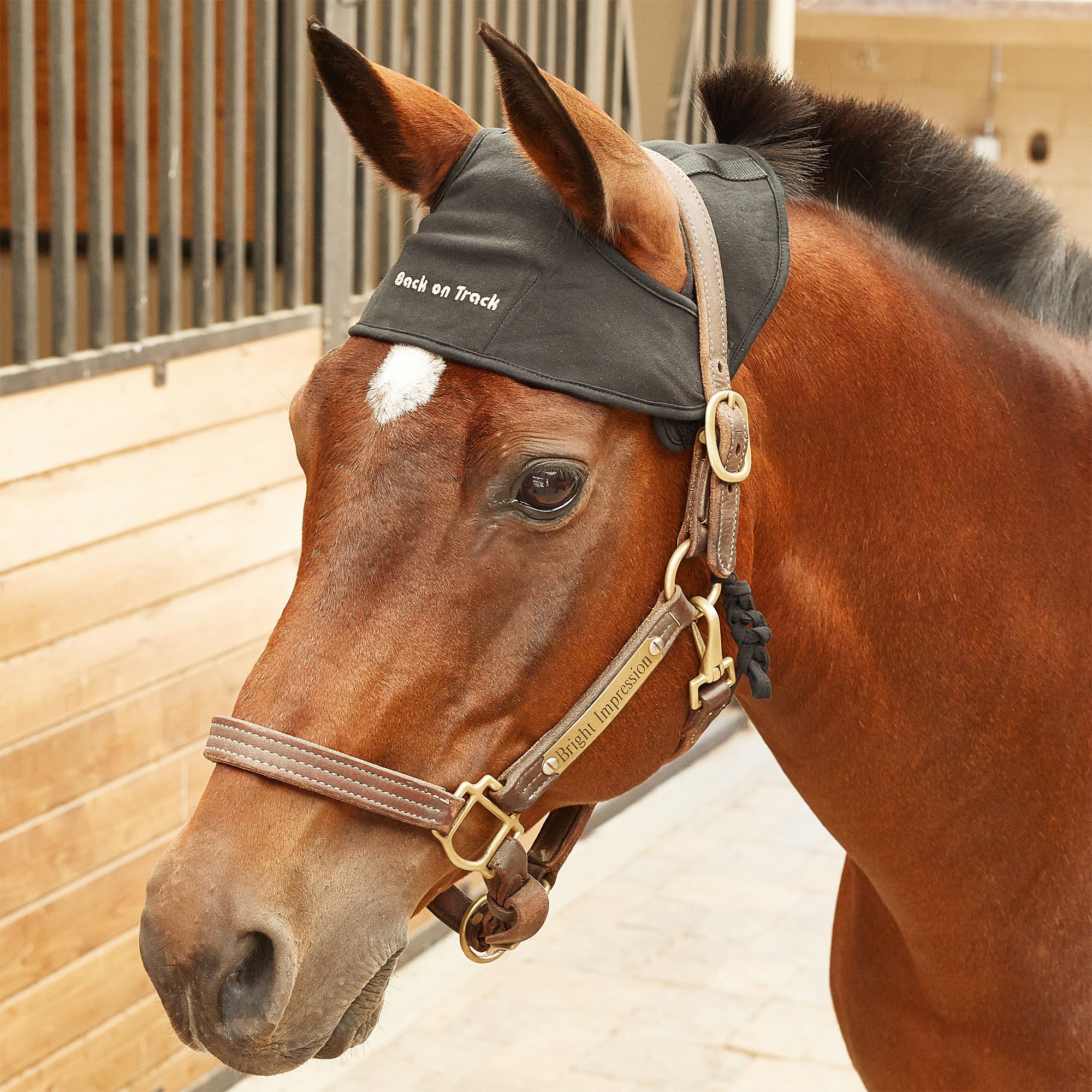 Back On Track Equine Head Cap 
