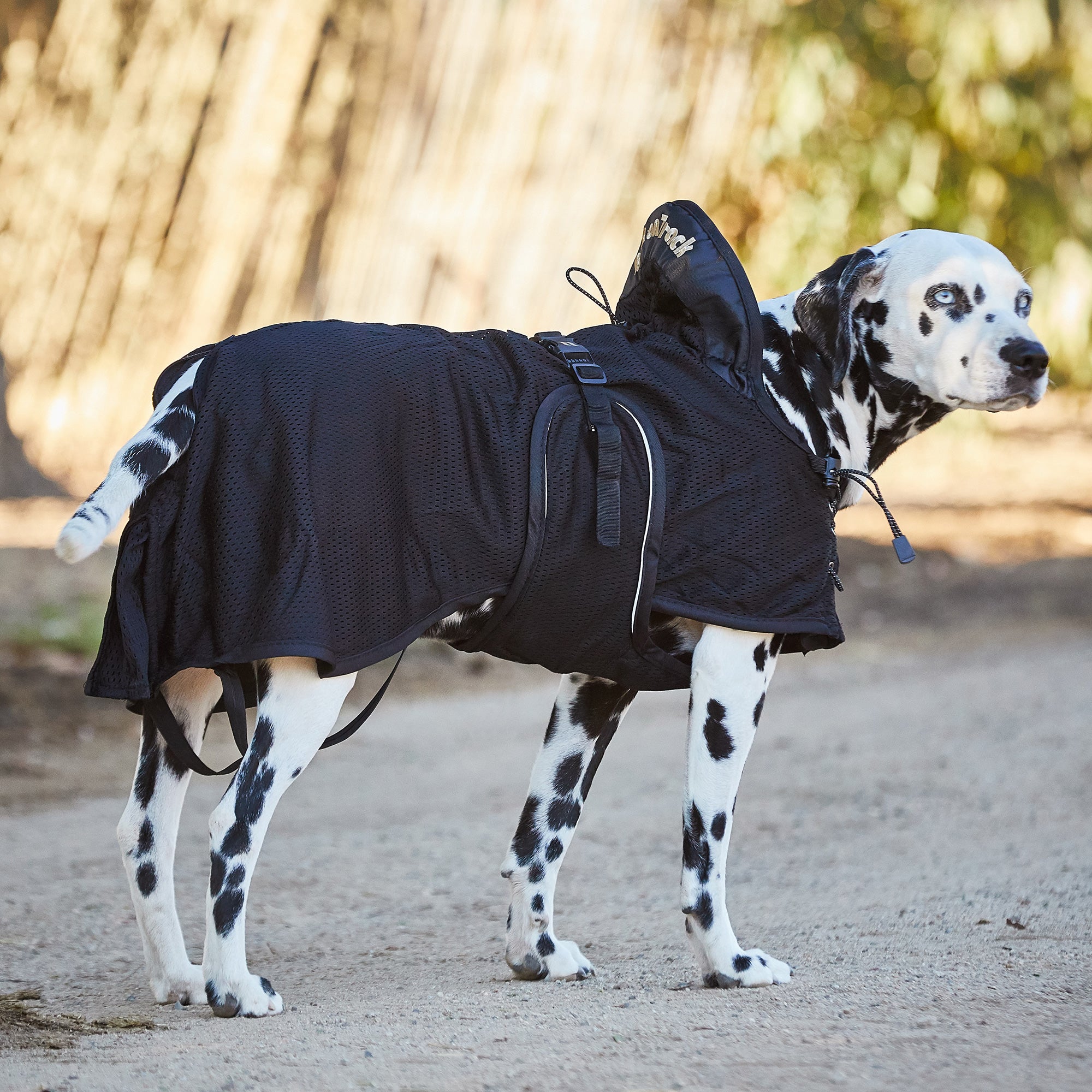 Back on Track Therapeutic Mesh Dog Coat/Jacket Riding Warehouse