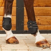 Back On Track Royal Hind Fetlock Horse Boots-Pair
