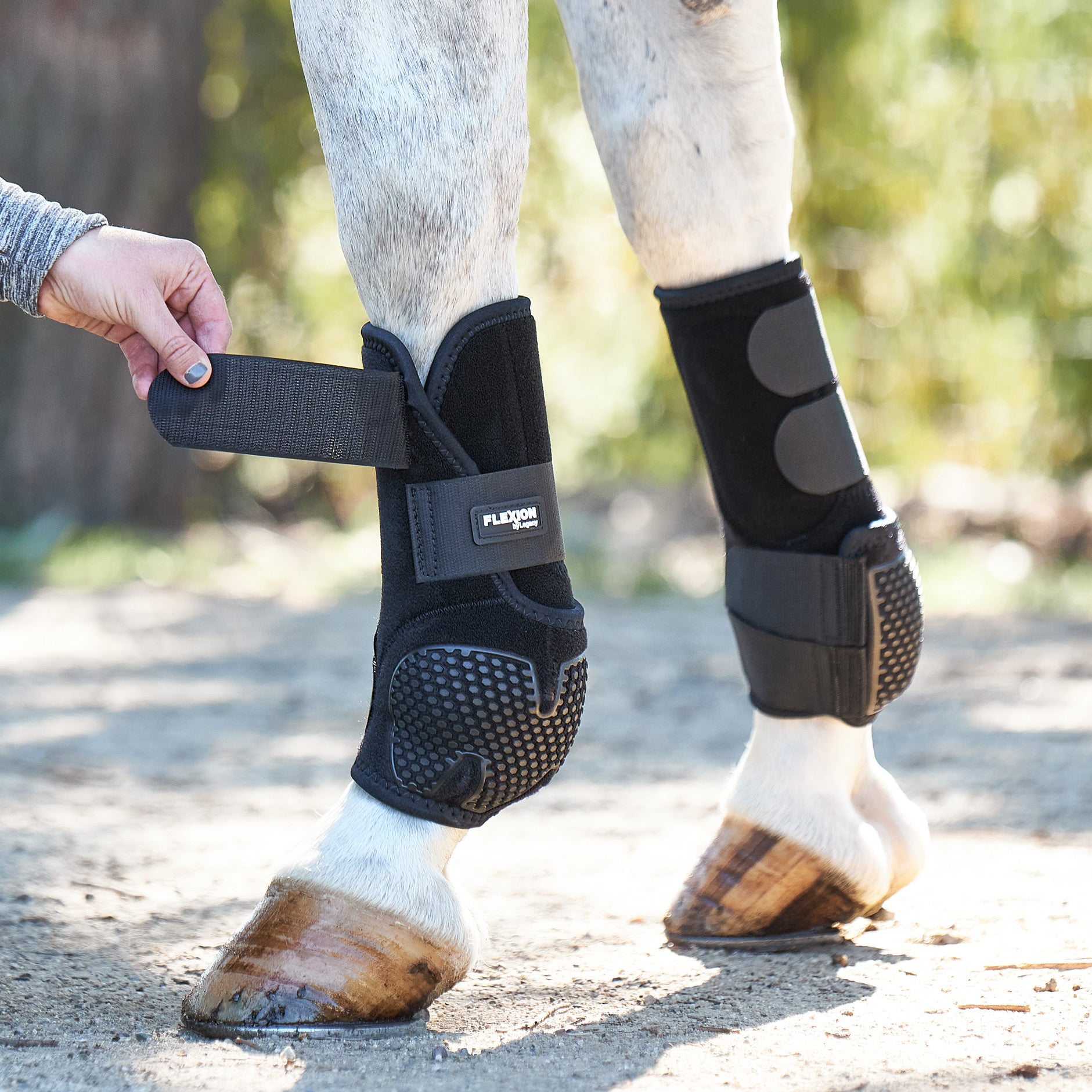 Classic Equine Flexion by Legacy Front Support Boots Riding Warehouse