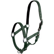 Centaur Cushion Web Nubuck Padded Safe Breakaway Halter