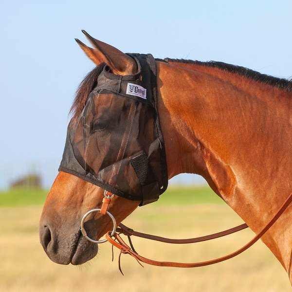 Cashel Quiet Ride Standard Fly Mask - No Ears Or Nose Cover, Fits Quarter Horse, Arab, Cob Size Horses