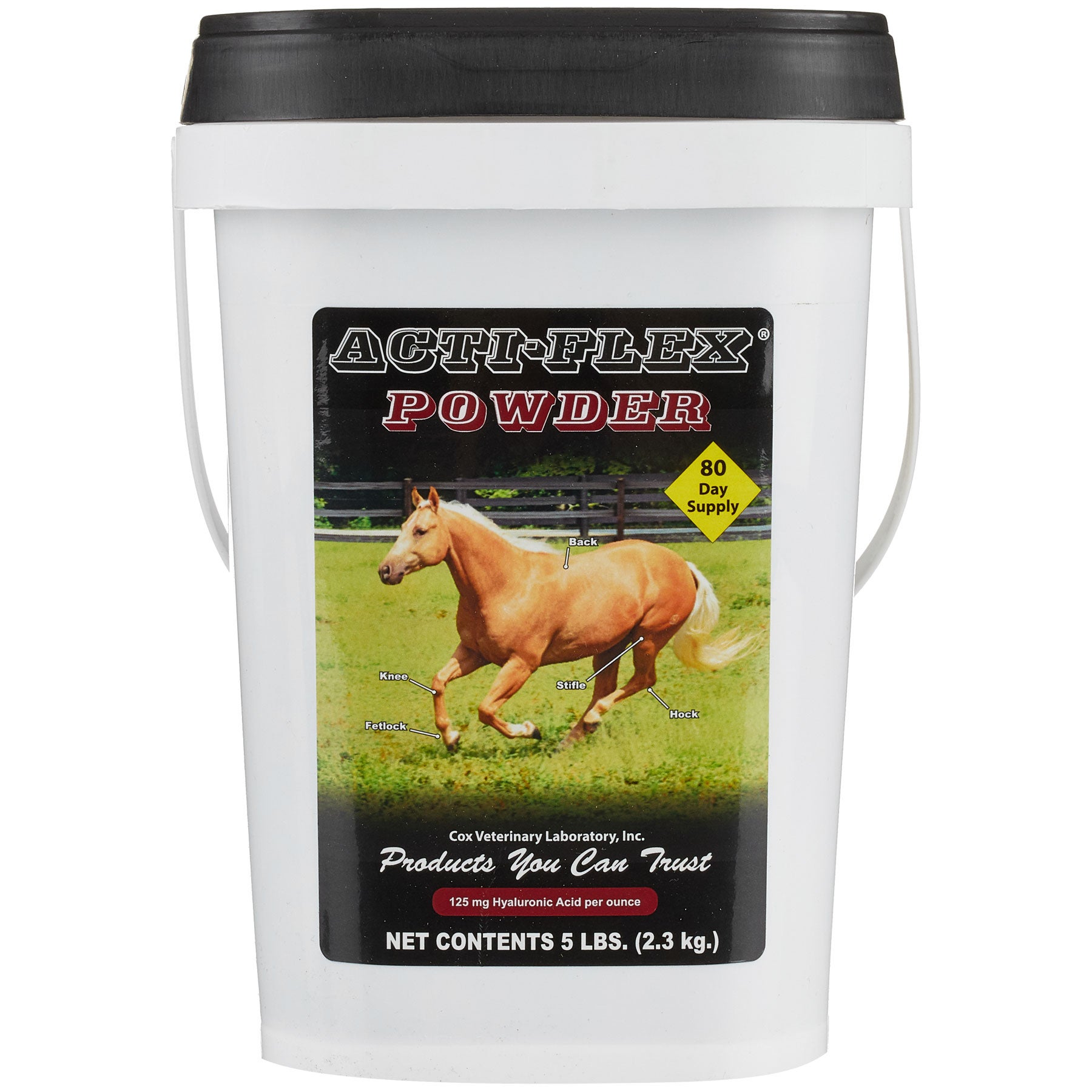 Cox Veterinary Acti-Flex Powder Joint Supplement w/HA - Riding Warehouse