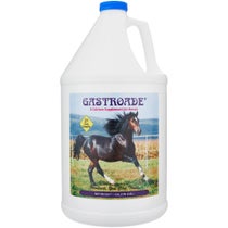 Cox Veterinary Gastroade Liquid Equine Ulcer Relief