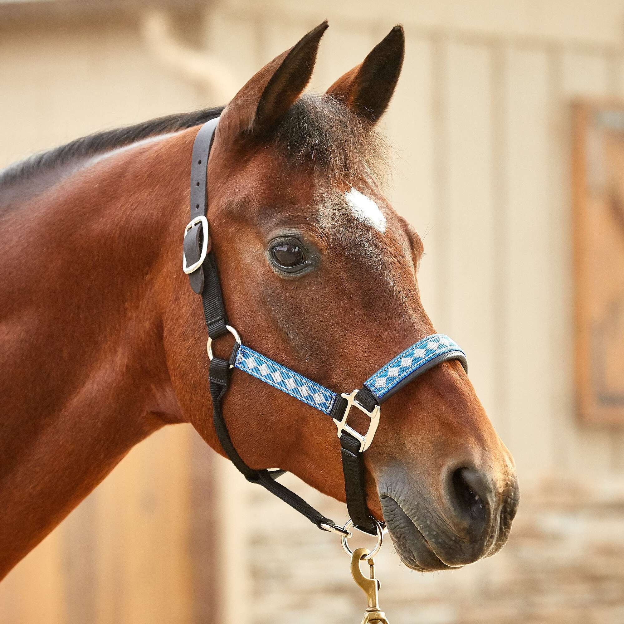 padded breakaway halter