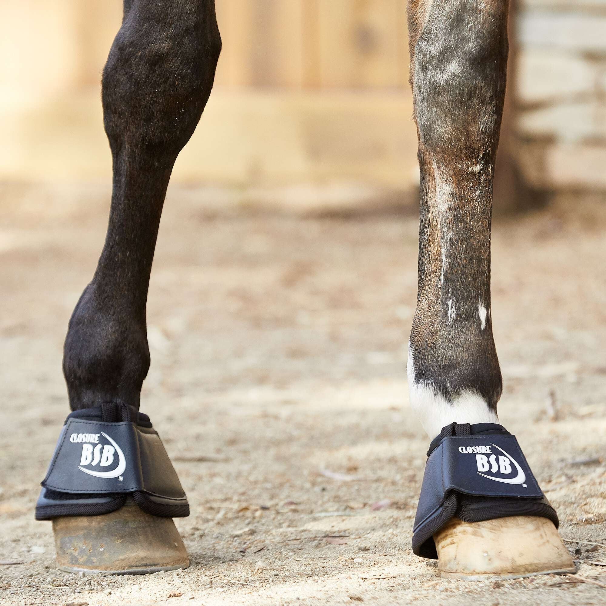 DSB Dressage Sport Boots Overreach Bell Boots Riding Warehouse