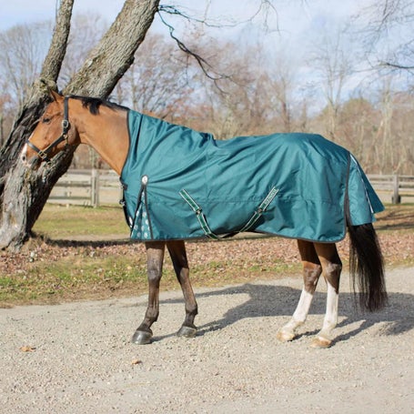 Equinavia Arktis Extended Neck Turnout Sheet 0G