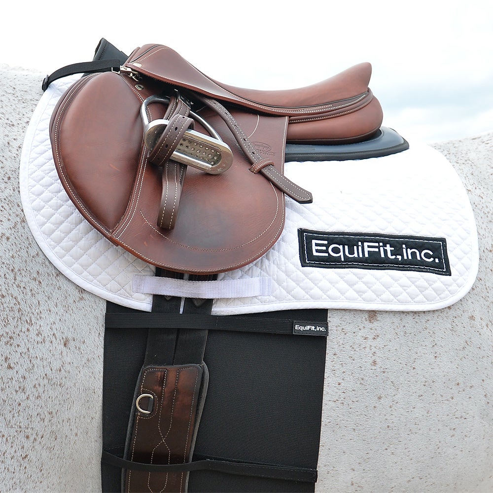 EquiFit Belly Band Guard for Spur Protection