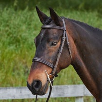 Equitare Cadence Hunter Bridle with Reins