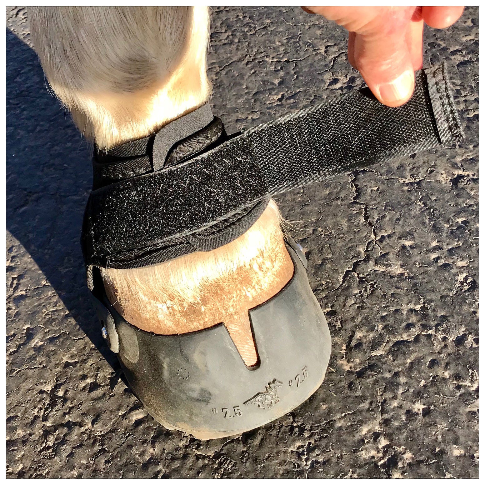 easy care hoof boots