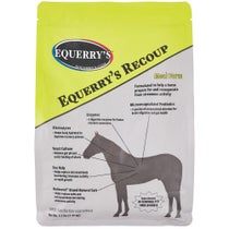 Equerry's Recoup Hydration & Recovery Supplement