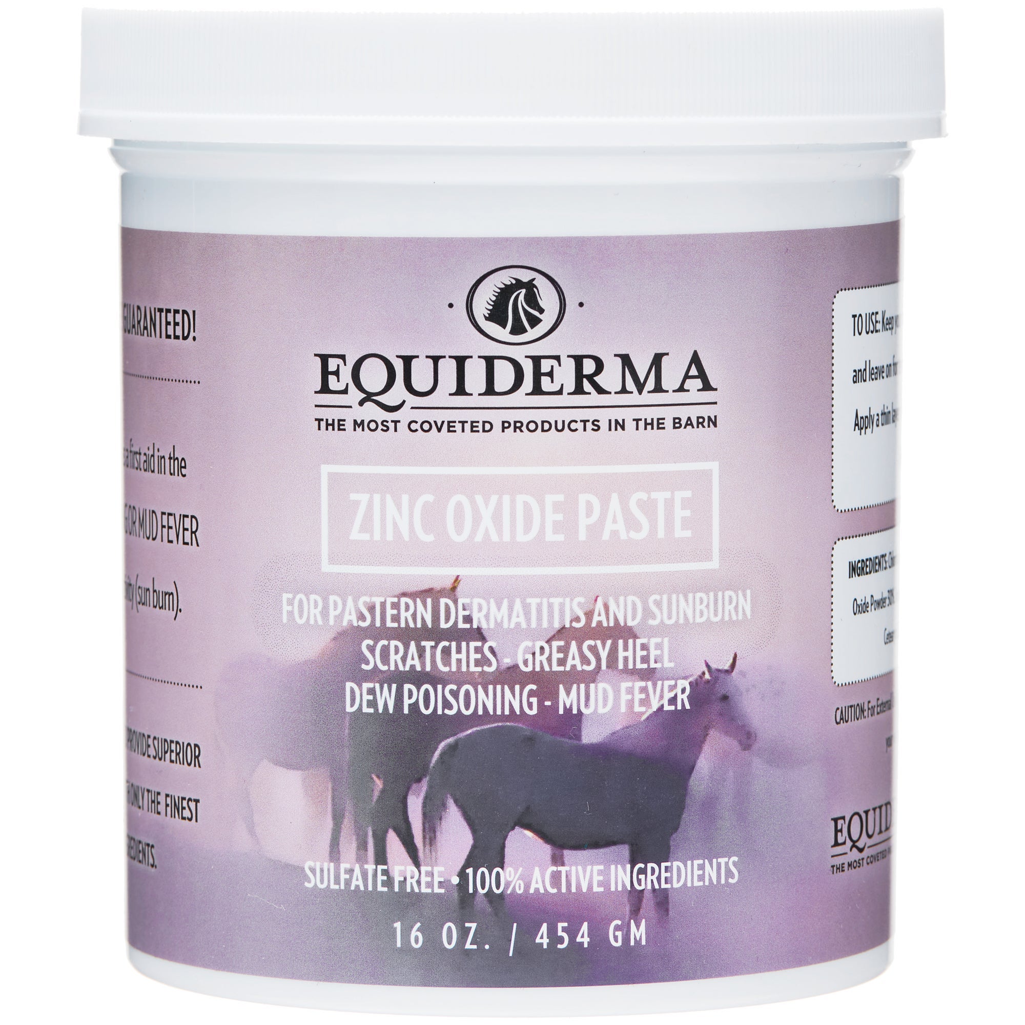 Equiderma Zinc Oxide Healing Paste & Sunblock 16 oz. Riding Warehouse