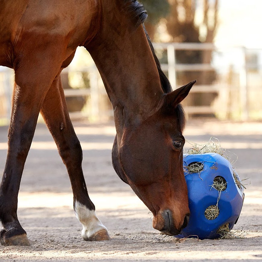 Equi-Essential Slow Feed Hay Ball Feeder Toy-Large - Riding Warehouse