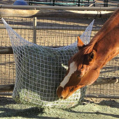 Perry Large Mesh Ring Hole Polypropylene Equestrian Hay Net Horse Feeder D15 