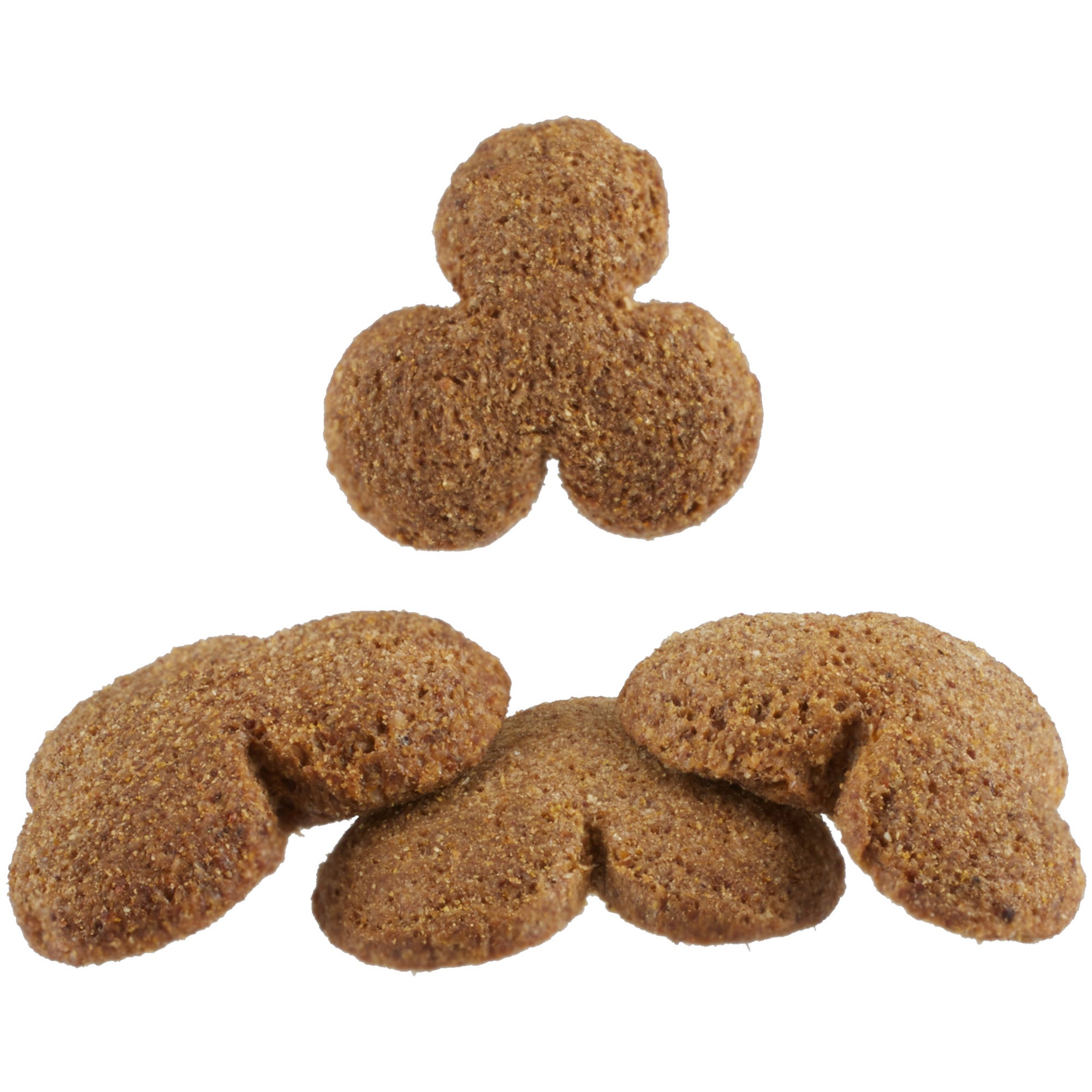 Giddyap Girls Premium Horse Treats w/ Probiotics Riding Warehouse