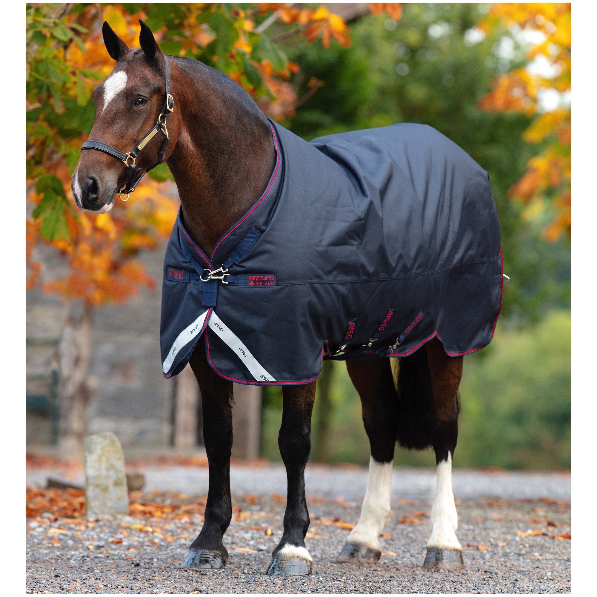 Horseware Amigo Stock Horse Turnout Blanket