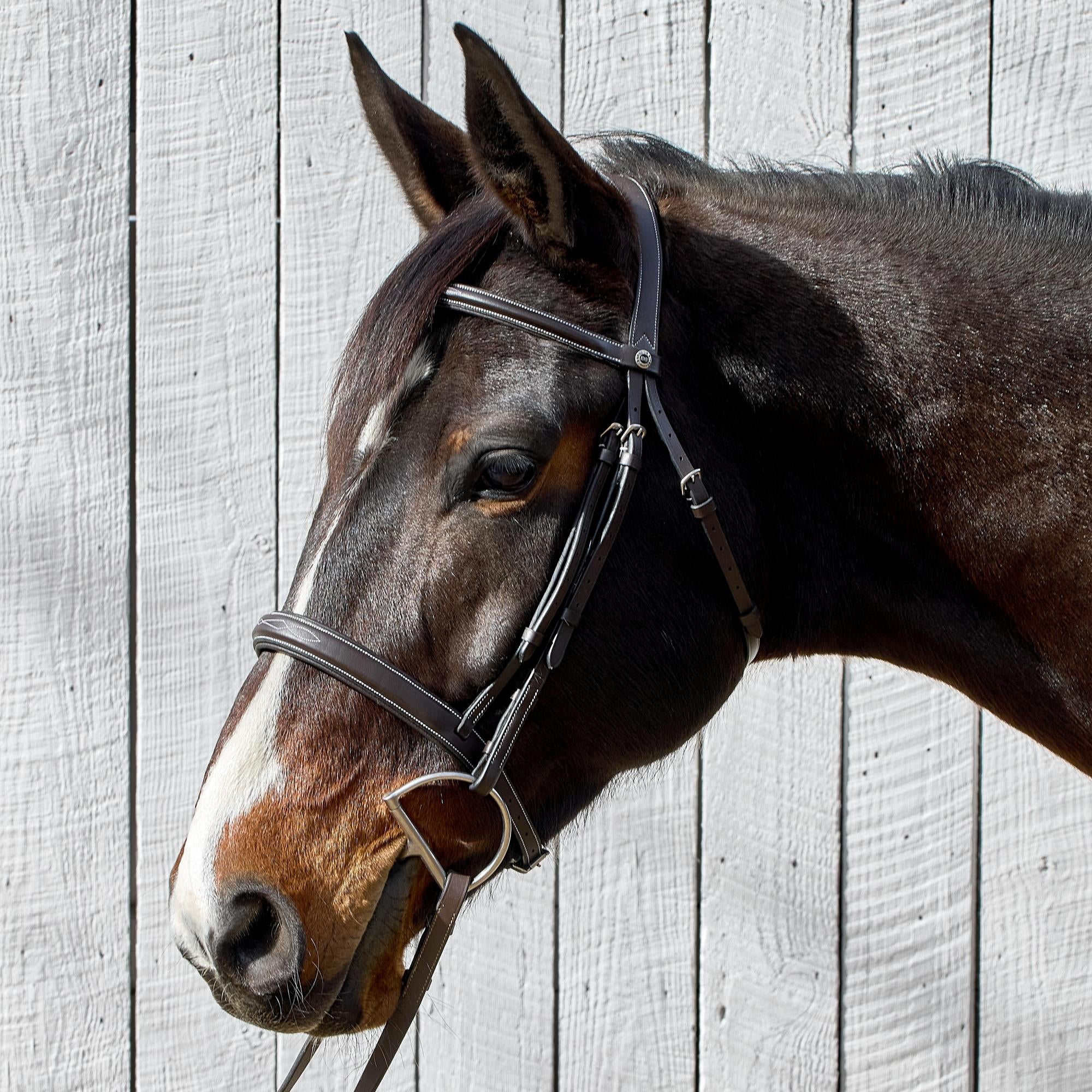 Henri de Rivel Mono Crown Padded Wide Noseband Bridle Riding Warehouse