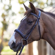 HDR Mono Crown Bridle Wide Noseband Havana Pony