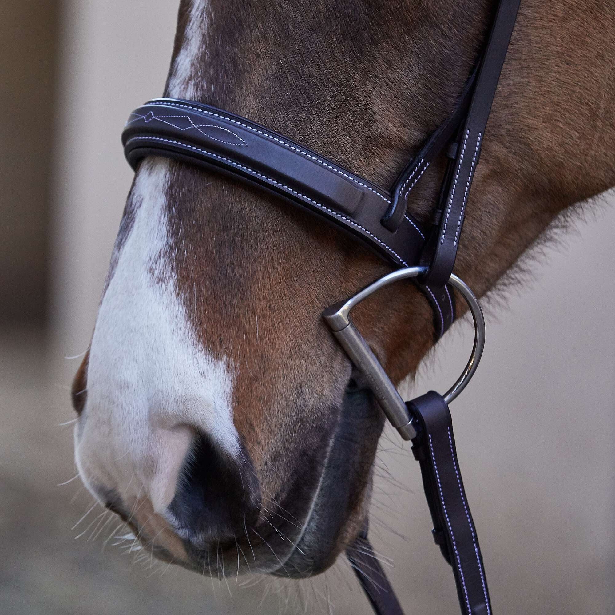 Henri de Rivel Mono Crown Padded Wide Noseband Bridle - Riding Warehouse