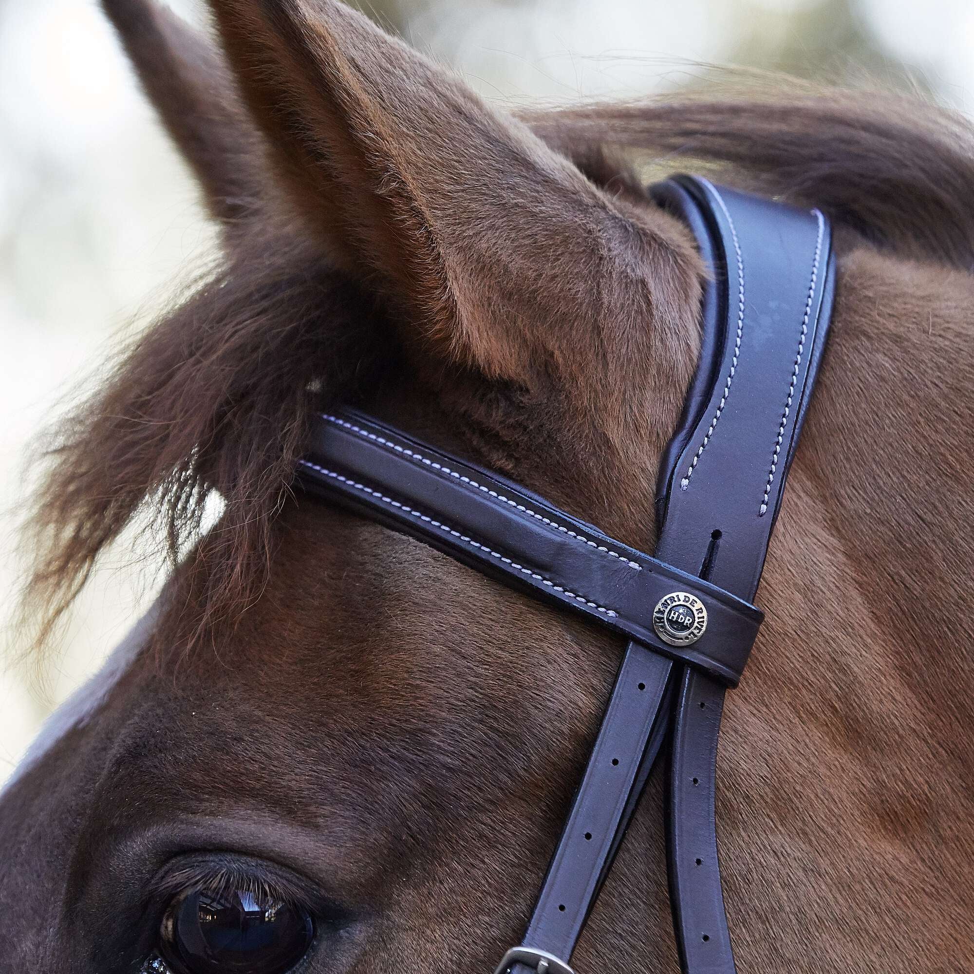 Henri de Rivel Mono Crown Padded Wide Noseband Bridle - Riding Warehouse