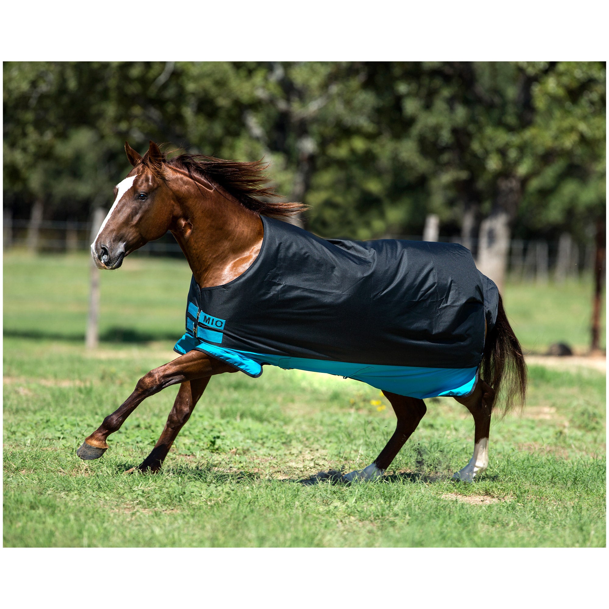 Hoseware Mio Lite,Lightweight Horse Rug,Black/Turquoise,60