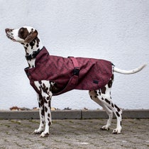 Horze Noir Bit Print Dog Waterproof Coat Jacket