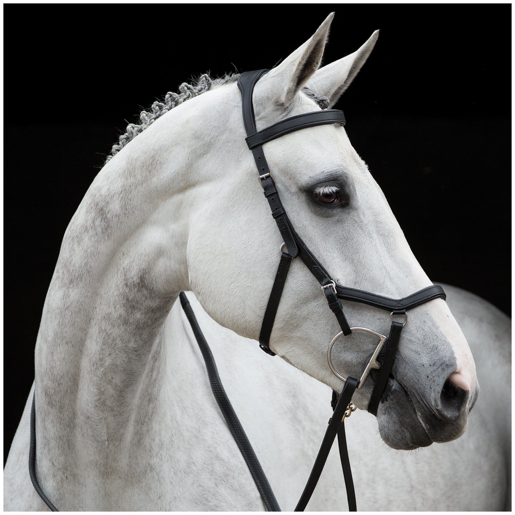 New Style Micklem Competition Bridle 