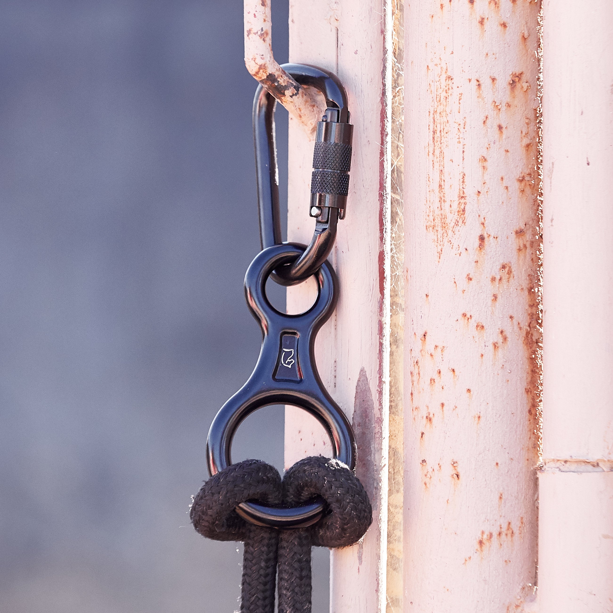 Coast Ranch Horse Safe Tie with Locking Carabiner Riding Warehouse