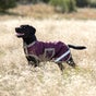 Horseware Amigo Dogware Dog Coat/Blanket 100g