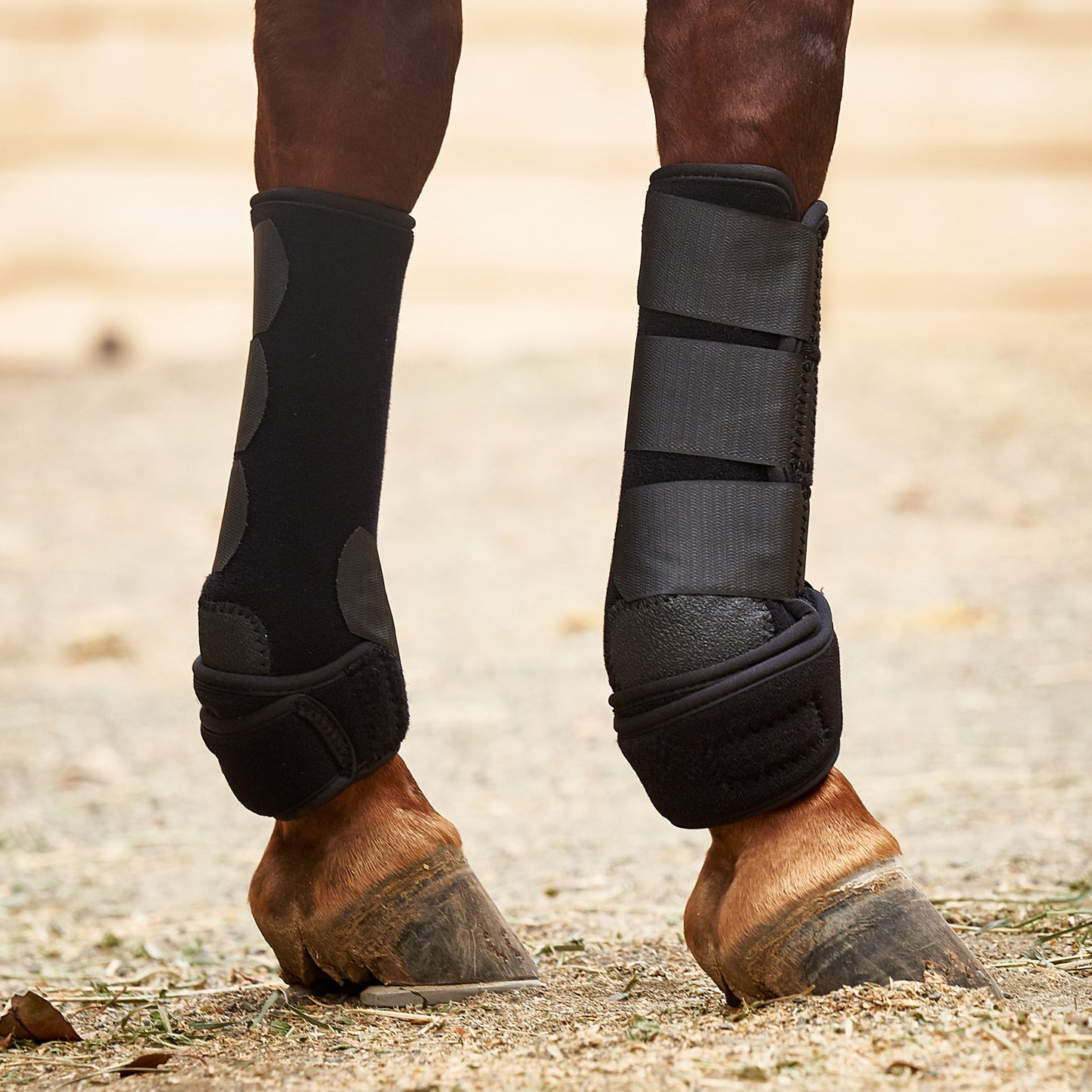 Iconoclast Front Orthopedic Support Horse Boots Riding Warehouse