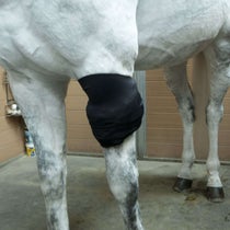 Ice Horse All-Purpose Ice Wrap with 2 Cold Pack Inserts