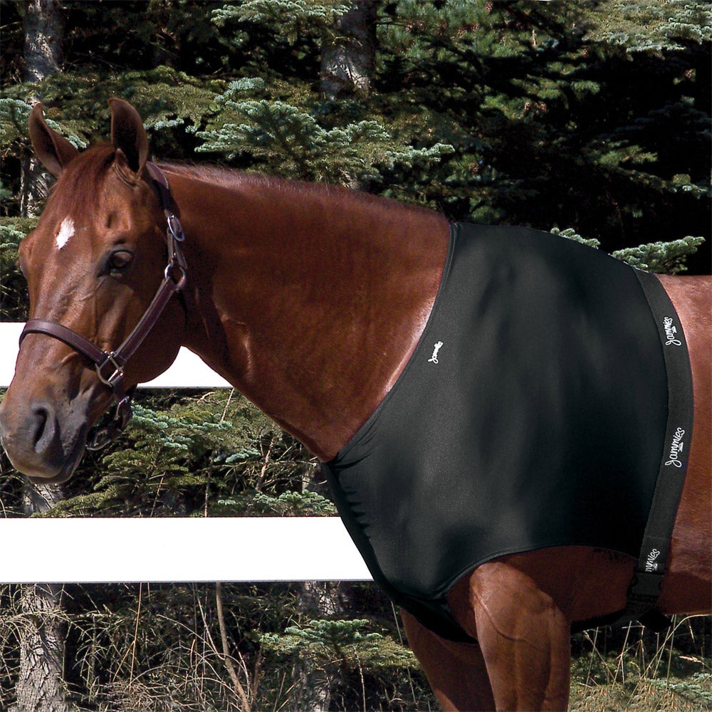 Tough1 Lycra Horse Shoulder Guard At Tractor Supply Co
