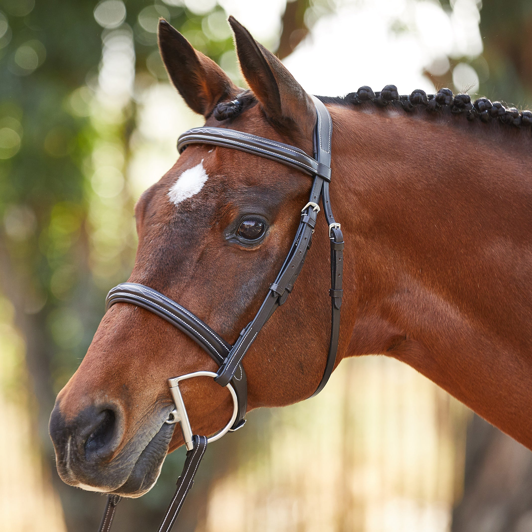 Equipride Plaited Hunter Bridle 2 Wide Noseband with Plaited Reins Full Size
