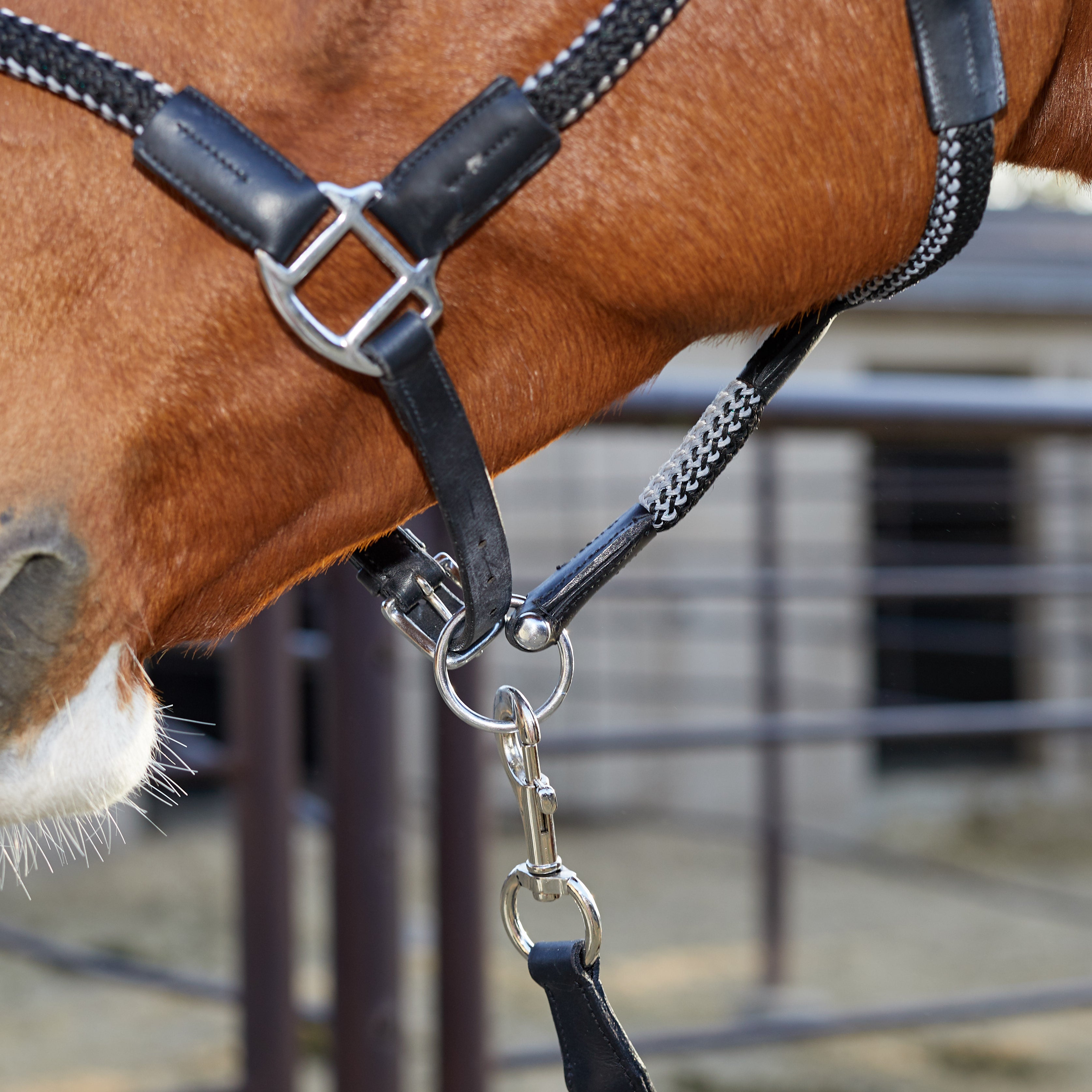 Kavalkade Cavo Padded Leather Rope Halter & Leadrope - Riding Warehouse