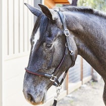 Kavalkade Cavo Rope Halter Set Black/Bordeaux Pony