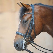 Kavalkade Ivonne Weymouth Bridle Black Pony