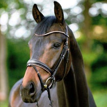 Kavalkade Rose Bridle Black/Rosegold Lining Pony