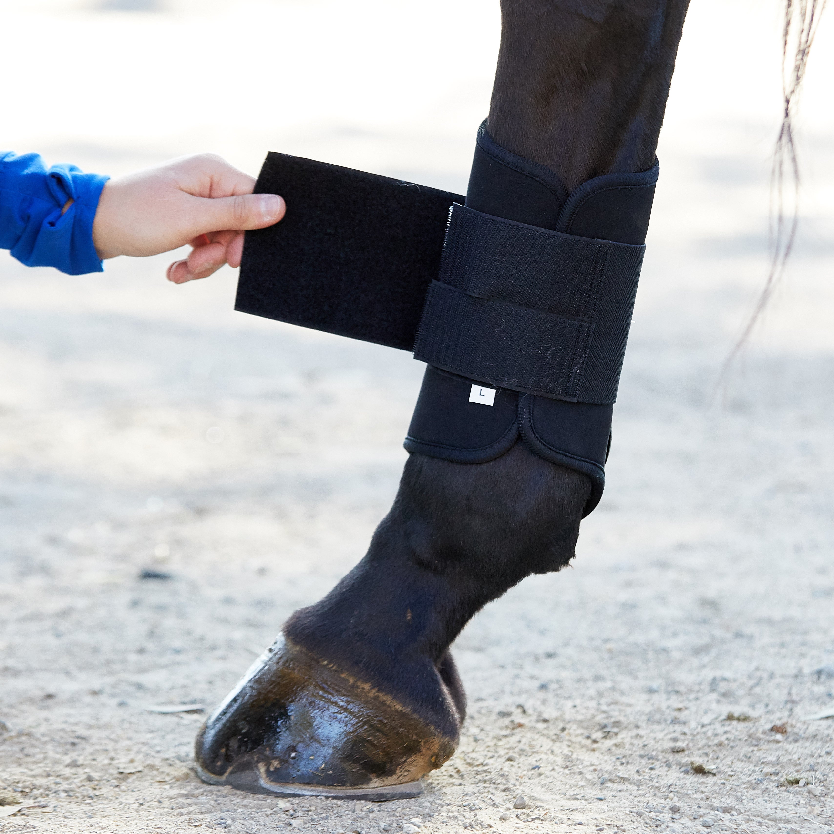 leather splint boots for horses