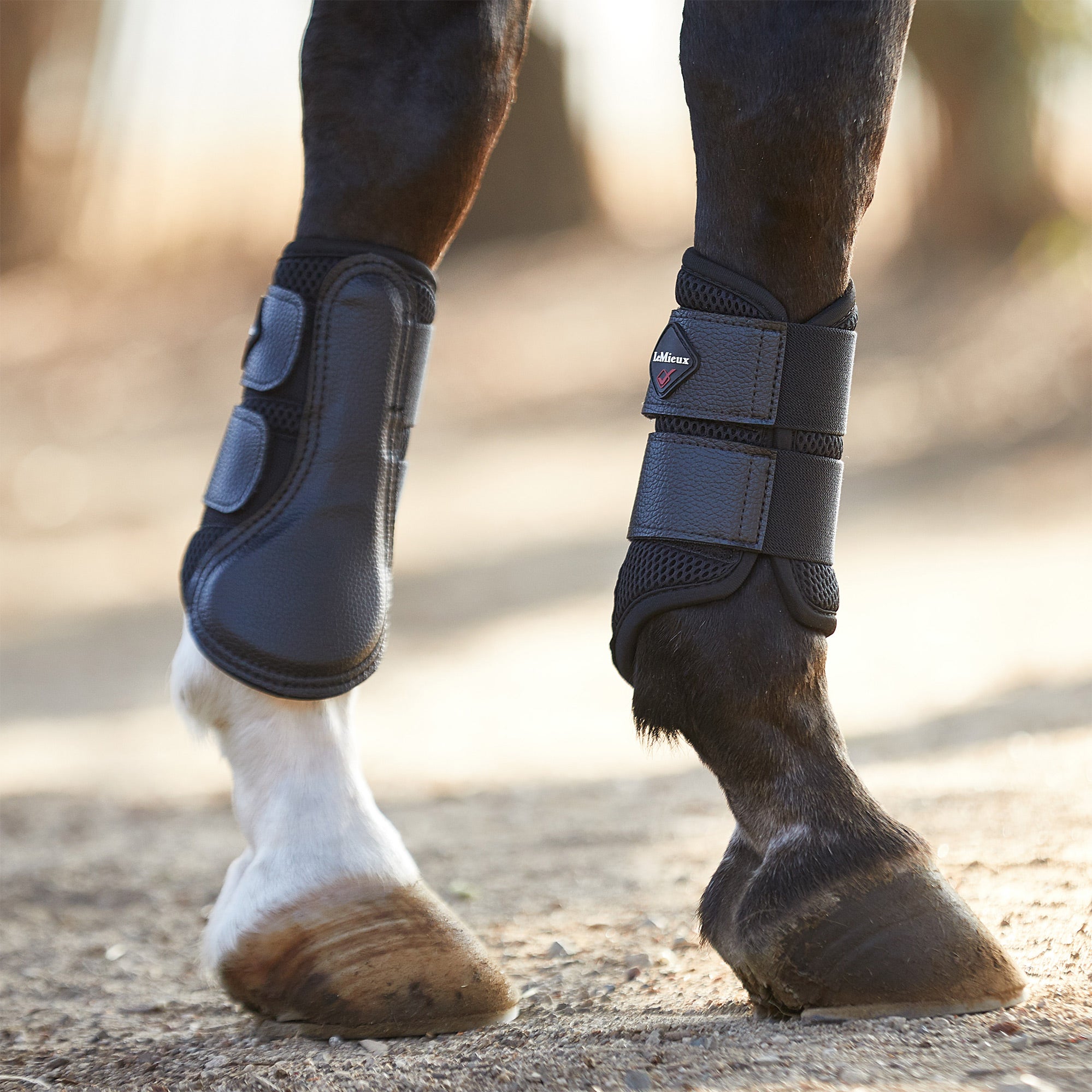 LeMieux ProSport Mesh Brushing Boots Pair Riding Warehouse