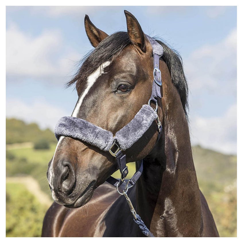 LeMieux Comfort Fleece Nylon Halter Riding Warehouse