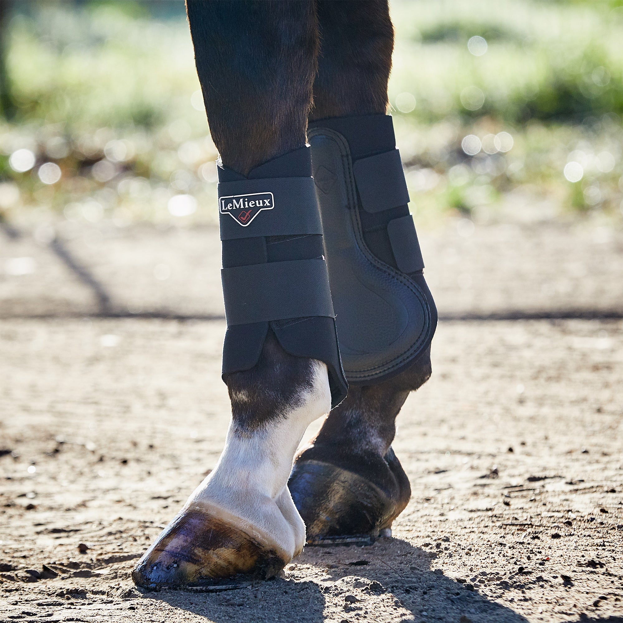 LeMieux Grafter Brushing Sport Horse Boots - Riding Warehouse